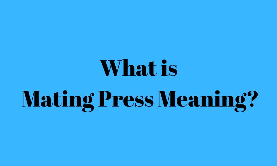 Mating Press Positions Meaning