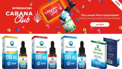 Cbd Oil For Joint Pain Blessedcbd.co.uk