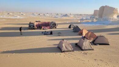 Egypt Tour