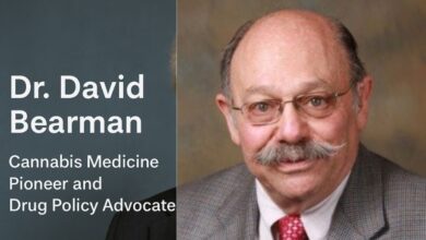Dr David Bearman
