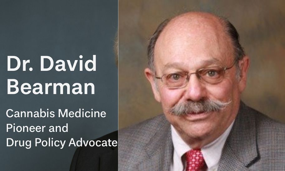 Dr David Bearman